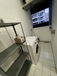 La Crystal (D9), Apartment #497879661